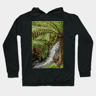 Anne's Cascade Hoodie